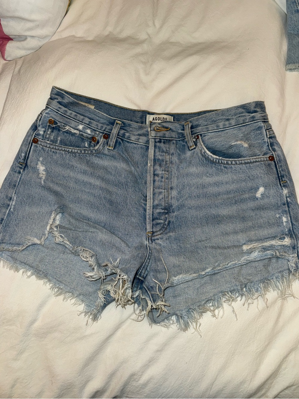 Agolde Parker Shorts in Swapmeet